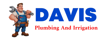 Trusted plumber in SAINT VRAIN